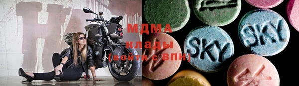 хмурый Аркадак