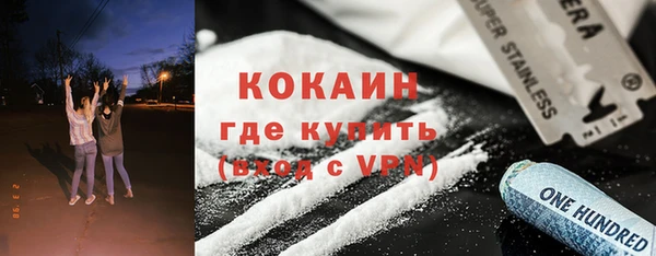 хмурый Аркадак