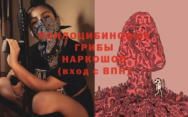 эйфоретик Арсеньев
