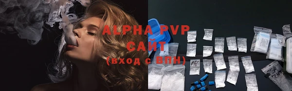 хмурый Аркадак