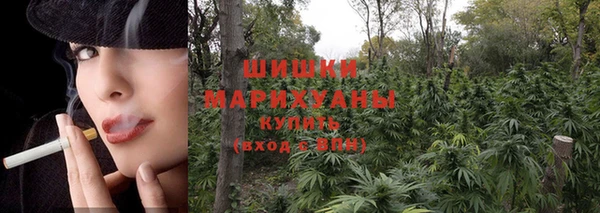 эйфоретик Арсеньев
