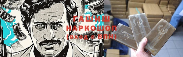 хмурый Аркадак