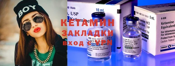хмурый Аркадак